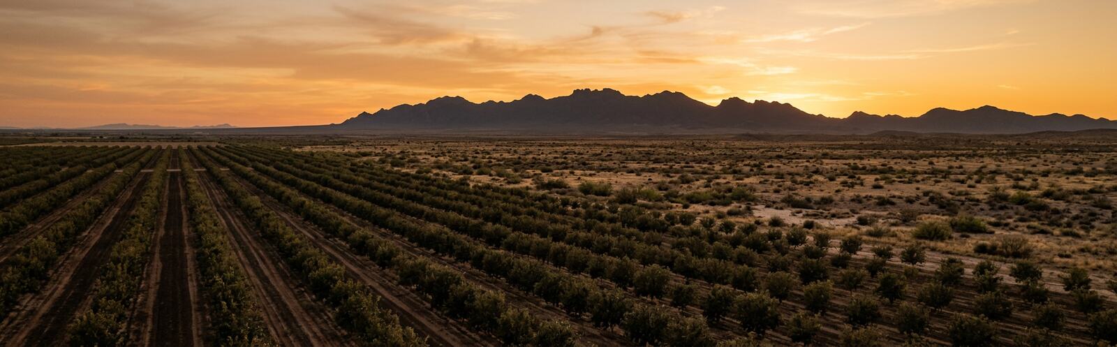 Clint, TX desert landscape